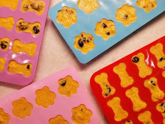 Paw & Bone Shaped silicone molds for treat freezing