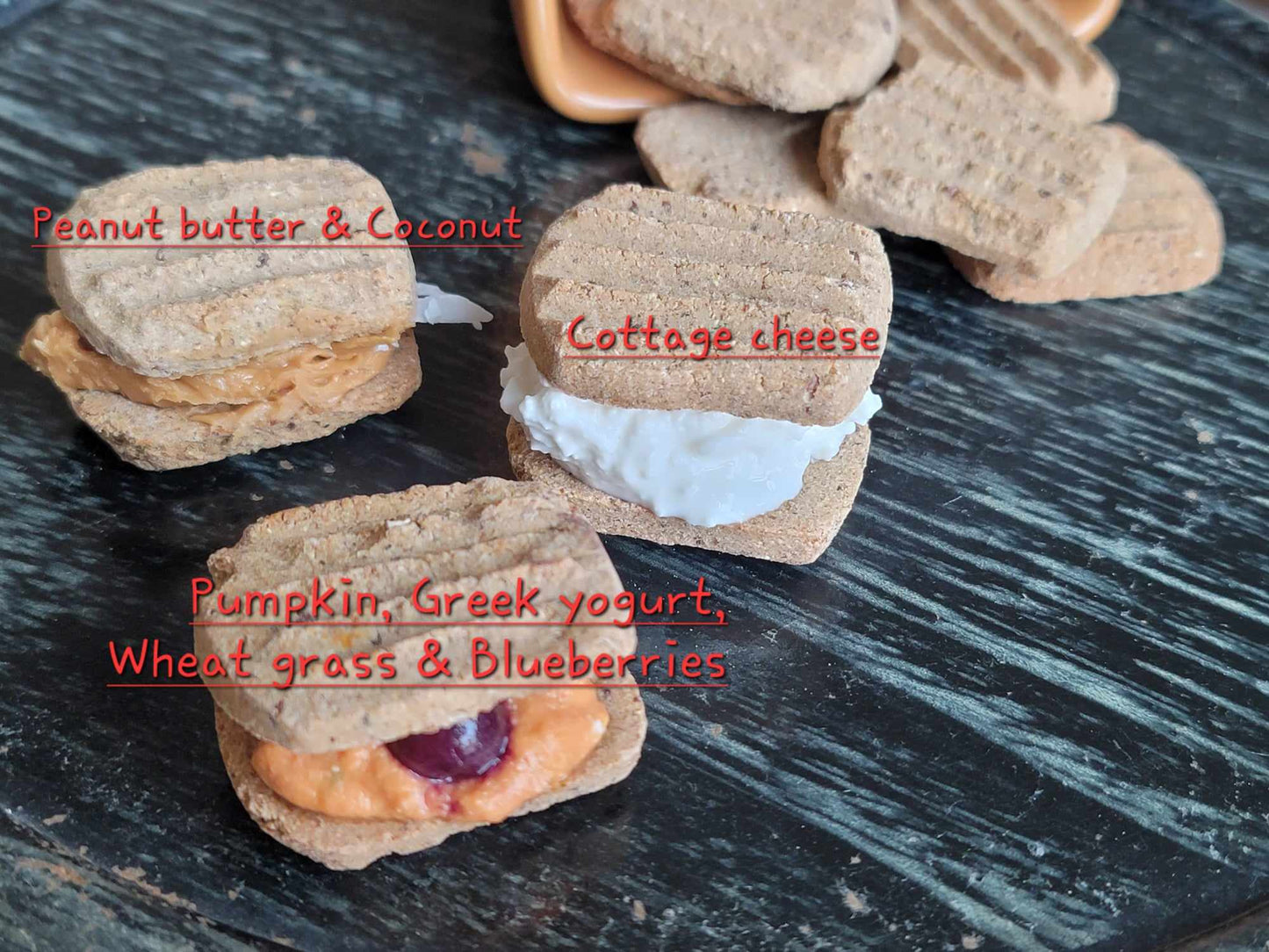 Pure Harmony Baked Dog treats with nutritious food sandwiched between