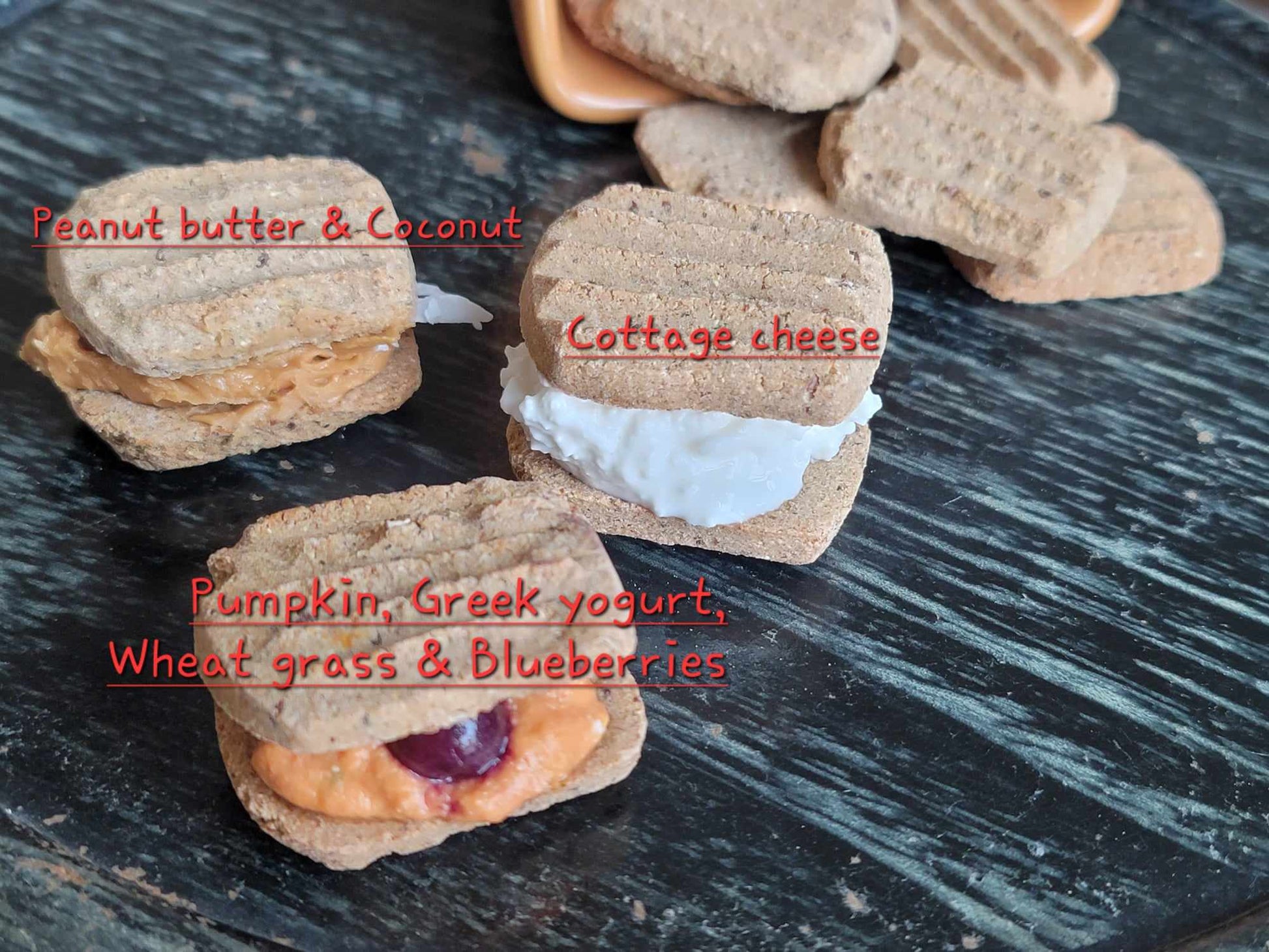 Pure Harmony Baked Dog treats with nutritious food sandwiched between