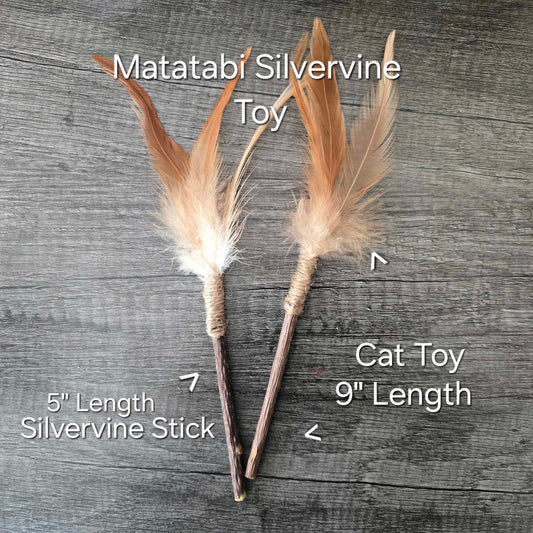 2 Pack Matatabi Silvervine Interactive Feather Toy PLUS a bag of Our Premium California Catnip