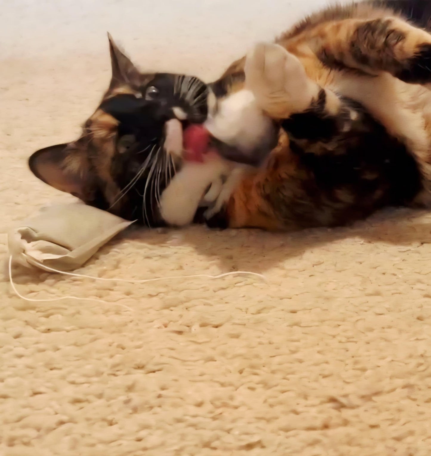4 Pack of Faux Fur Balls PLUS a Bag of Our Premium California Catnip Included