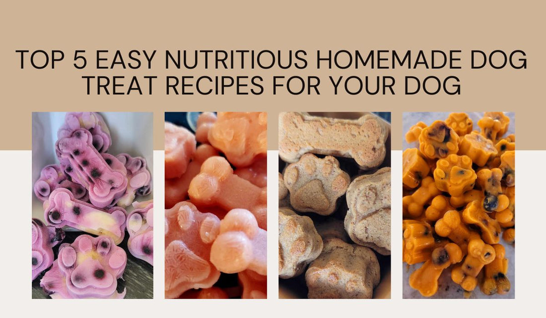 Homemade Nutritious Dog treats for Dogs