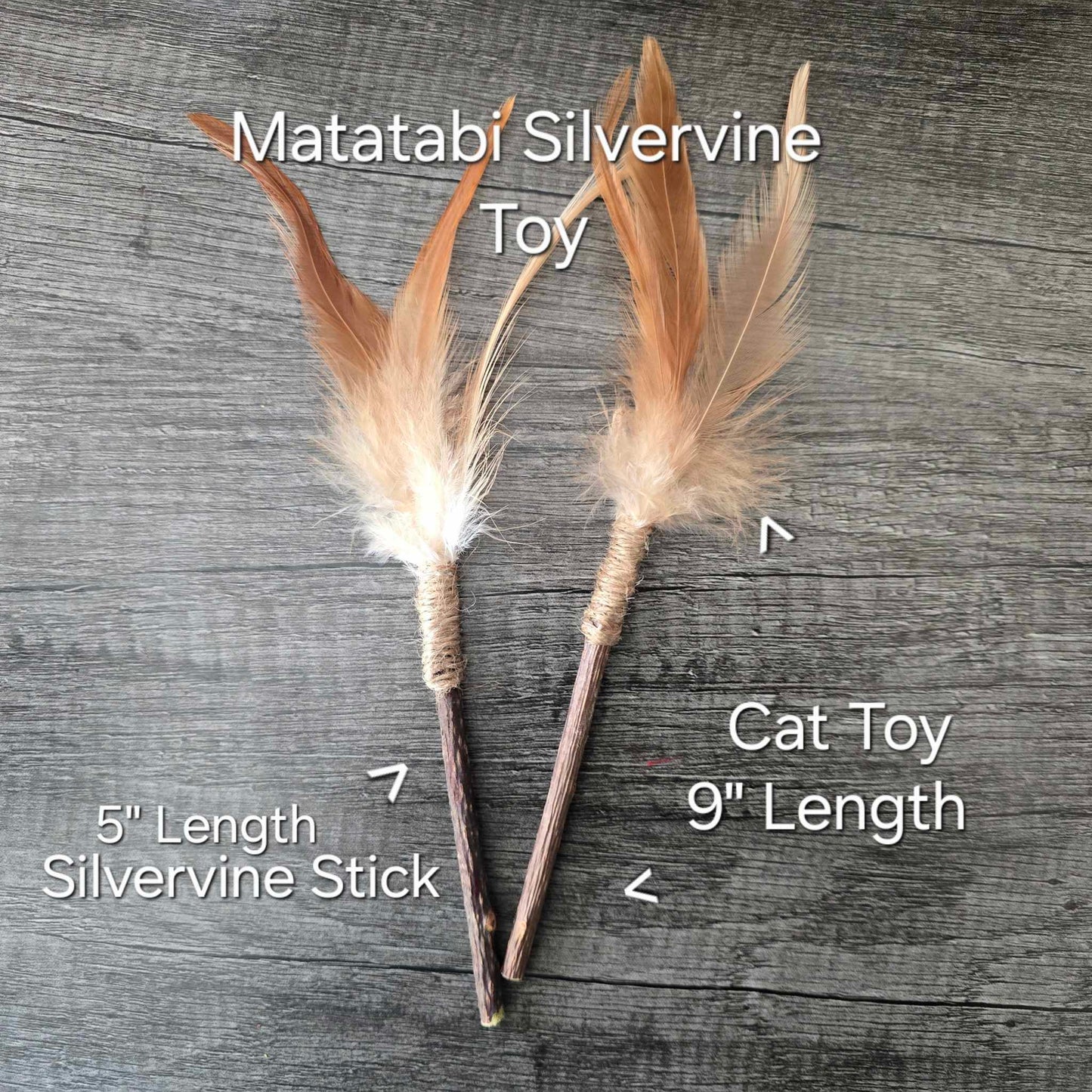 2 Pack Matatabi Silvervine Interactive Feather Toy With Our Premium California Catnip Blend