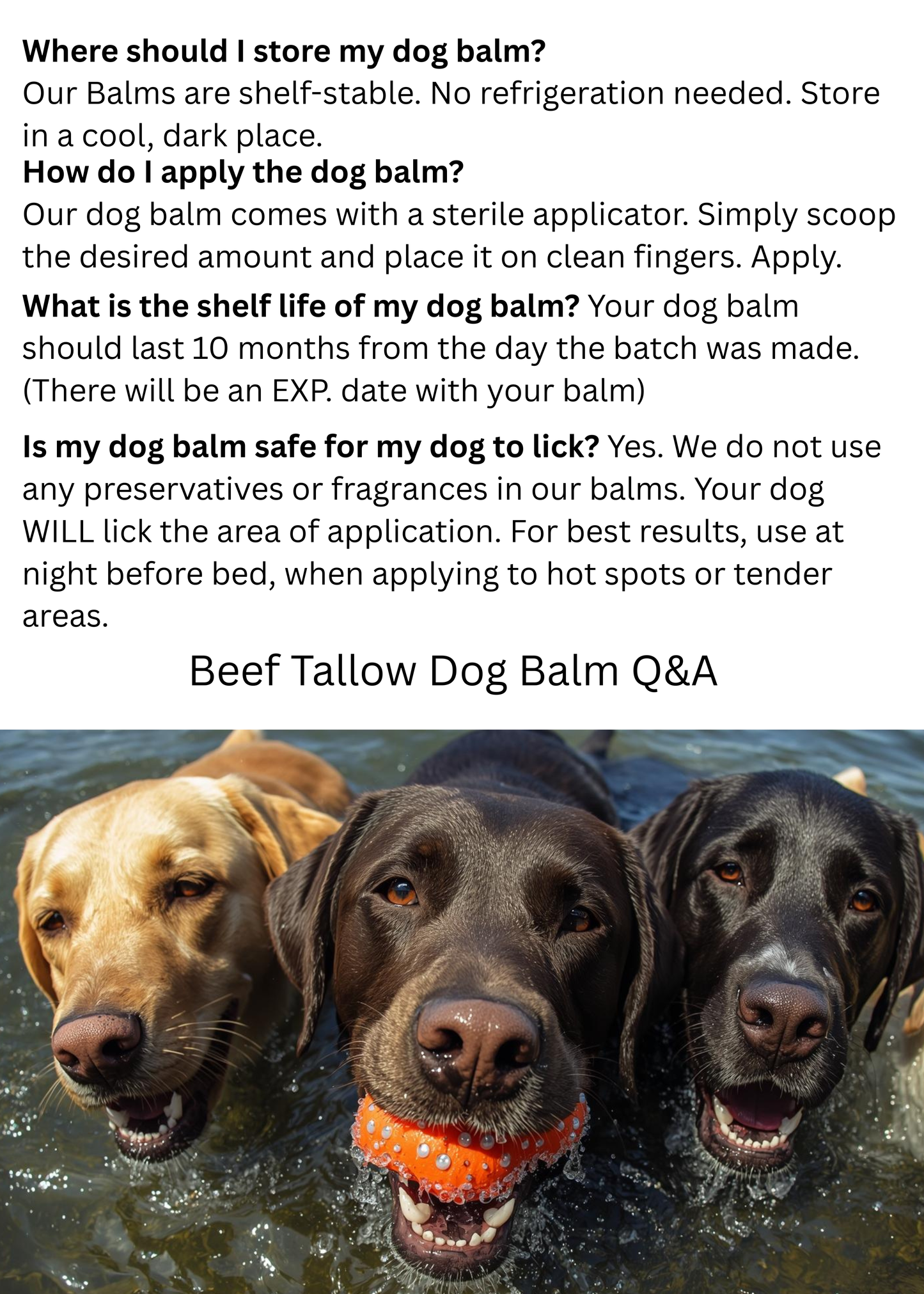 Beef Tallow Protective Paw & Nose Balm (2 oz. Tin)