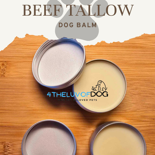Beef Tallow Deep Healing long-lasting protection Dog Balm (2 oz. Tin)